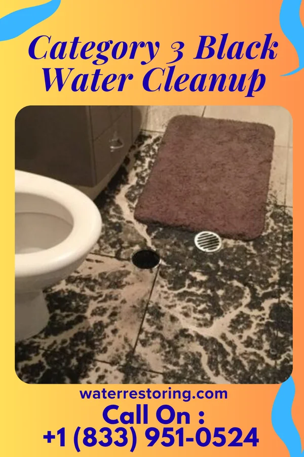 Category 3 Black Water Cleanup in Kure Beach, NC